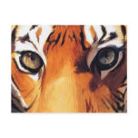 "Eyes of the Tiger" Paul Jackson Watercolor Post Cards