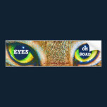 Eyes on the Road Cat bumper stickers