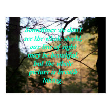 Eyes Open to the Beauty Postcards