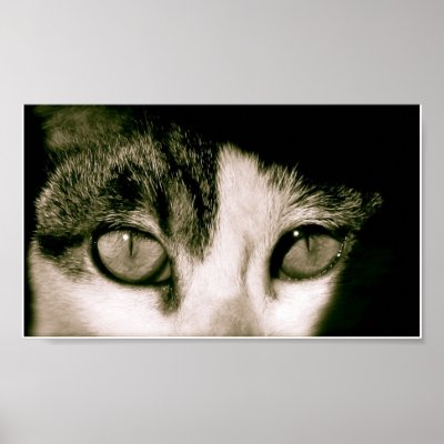 Eyes Poster by denajmiller