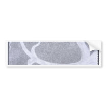 eyevein bumper stickers