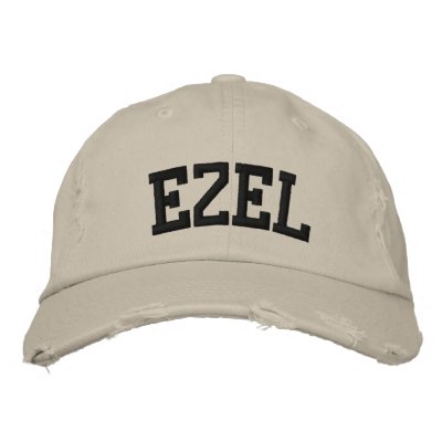 Ezel Embroidered Hat by cityshirts