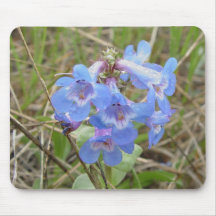 F0003 Blue Wildflower Mouse Pads