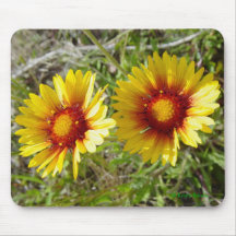F0008 Yellow Wildflower Duet Mouse Pads
