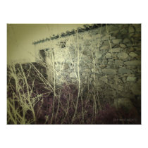 F.09.M - Ruin Impressão Fotográfica