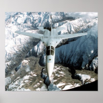 F-111 Aardvark Print
