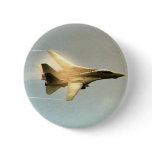 F-14 TOMCAT PINS