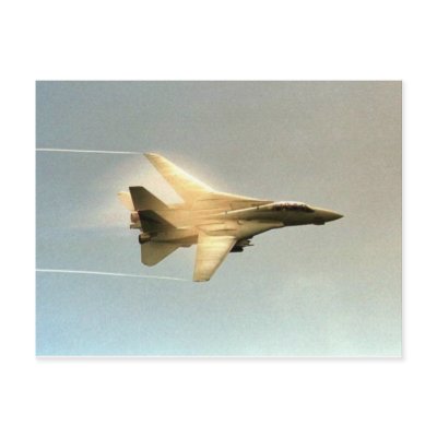 F-14 Tomcat Postcard by ZuluFlight