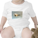 F-14 Tomcat Shirts