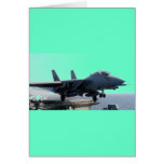 F-14D VF-213 WORLD FAMOUS BLACK LIONS CARD