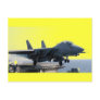 F-14D VF-213 WORLD FAMOUS BLACK LIONS POSTCARDS