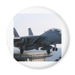F-14D VF-213 WORLD FAUS BLACK LIONS MAGNETS