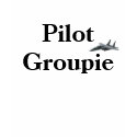 F-15E Pilot Groupie t-shirts