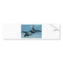 F-16 Eagle Bumper Sticker