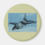 F-16 Eagle Refrigerator Magnets