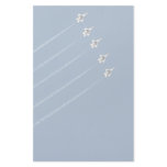 F-16 Thunderbirds Five Formation