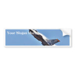F 16s Jets Fighters Airplanes bumper stickers