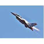 F 16s Jets Fighters Airplanes photo sculptures