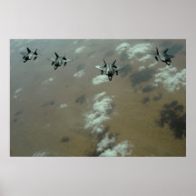 F-22 Raptors Posters