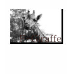 F-Giraffe t-shirts