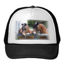 Fabian & Burgundy Mesh Hat