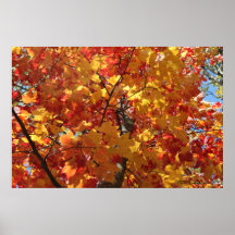 Fabulous Fall Posters
