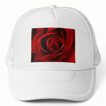 Fabulous Red Rose