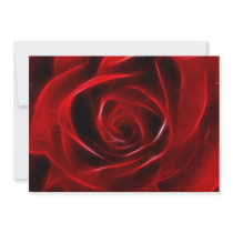 Fabulous Red Rose
