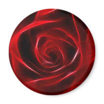 Fabulous Red Rose