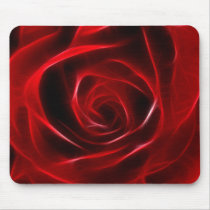 Fabulous Red Rose