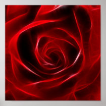 Fabulous Red Rose