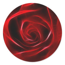 Fabulous Red Rose