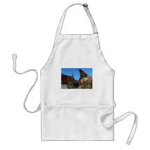 Fabulous Reflections in New York Aprons