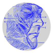 Face Diagram Round Stickers