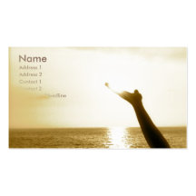 Face of God Aviation Business Card Template