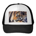 Face of Tiger Trucker Hats