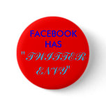 Facebook Envy Twitter Pin