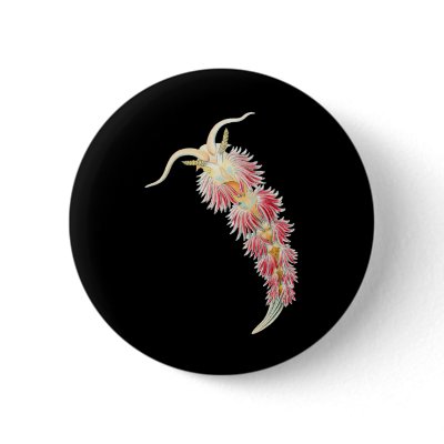 Facelina Button by Ernst_Haeckel