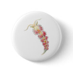 Facelina Pins