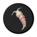 Facelina Fridge Magnets
