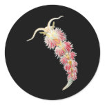 Facelina Round Sticker