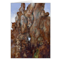 Faces in the bark ! cards