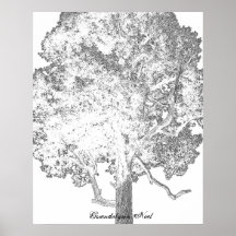 Faces of Nature Posters