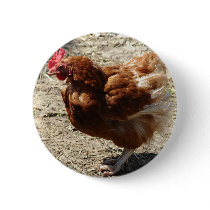 Factory Farm Hen Pinback Buttons