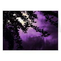 Fade to Purple Greeting Card