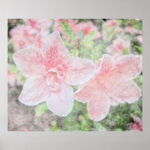 Faded Azaleas Print