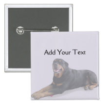 Faded Rottweiler Laying Down on Grey Button
