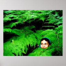 Fae dans le Fernwoods Posters