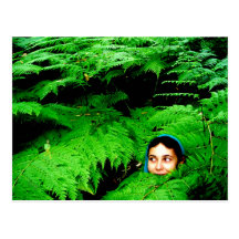 Fae in the Fernwoods Postcard