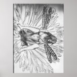 faery 001 de marguerite affiche